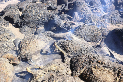 38 айлын гэр, 3706 бог мал түймэрт өртжээ